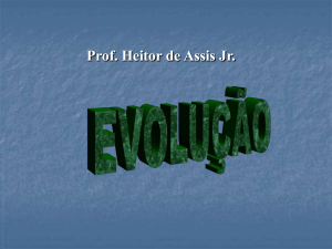 Prof. Heitor de Assis Jr.