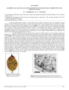 Rev. Ecossistema vol. 26, n.1 jan. – jul. 2001 115 Nota Científica