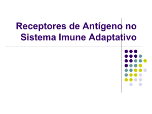 Receptores de Antígeno no Sistema Imune Adaptativo