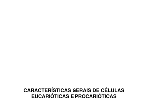 Características gerais de células eucarióticas e procarióticas