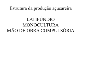 Estrutura da produção açucareira LATIFÚNDIO MONOCULTURA