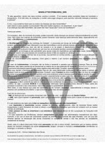 Newsletter CVO Primavera 2009