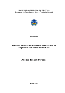 Anelise Tessari Perboni - Universidade Federal de Pelotas