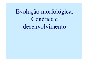 Evolução morfológica - Genética e Biologia Evolutiva