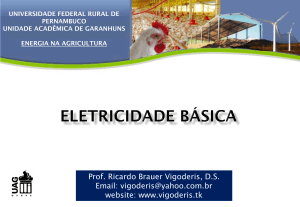 Prof. Ricardo Brauer Vigoderis, D.S. Email: