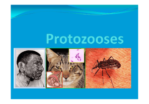 Protozooses - biologiavirtual