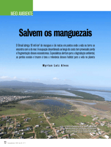 Salvem os manguezais