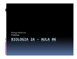 BIOLOGIA 2A – AULA 06
