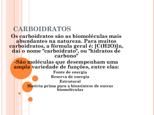 carboidratos - Colégio Saber Online