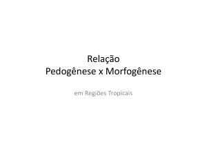 Relação Pedogênese x Morfogênese