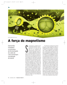 A força do magnetismo - Revista Pesquisa Fapesp