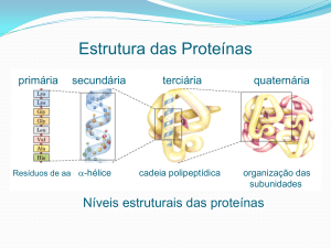 Estrutura das Proteínas