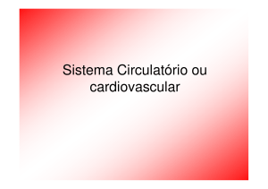 Sistema Circulatório ou cardiovascular