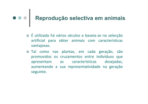 Vantagens da reprodução selectiva em animais