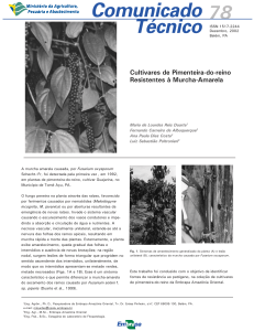 Cultivares de Pimenteira-do-reino Resistentes à Murcha - Infoteca-e