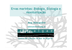 Ervas marinhas: Biologia, Ecologia e monitorização