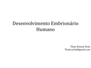 Desenvolvimento Embrionário Humano