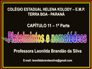 Professora Leonilda Brandão da Silva CAPÍTULO 11 – 1ª Parte