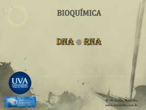 DNA e RNA Vitaminas