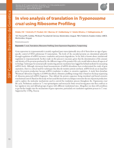 In vivo analysis of translation in Trypanosoma cruzi using Ribosome