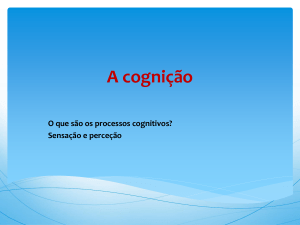 O processo cognitivo - Agrupamento Escolas João da Silva Correia