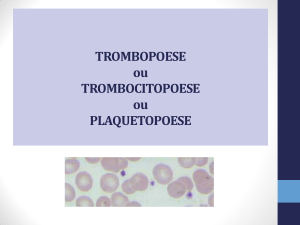 trombopoese trombocitopoese