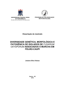 diversidade genética, morfológica e patogênica de isolados de