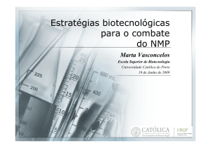 Estratégias biotecnológicas para o combate do NMP