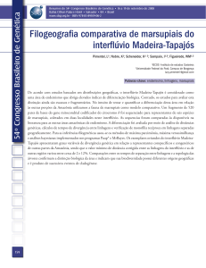 Filogeografia comparativa de marsupiais do interflúvio Madeira