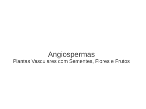 Angiospermas - WordPress.com