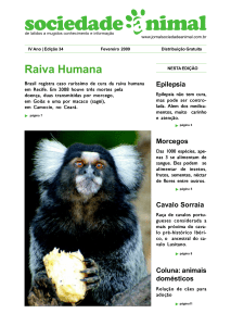 Fevereiro - 2009 - Jornal Sociedade Animal .História