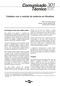 Cuidados com a nutrição da melancia em Rondônia
