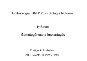Embriologia (BMH120) - Biologia Noturno 1o Bloco Gametogênese