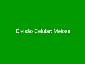 Divisão Celular: Meiose