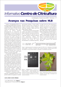 Info Maio - Centro de Citricultura Sylvio Moreira