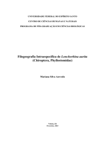 Filogeografia Intraespecífica de Lonchorhina aurita - Pró