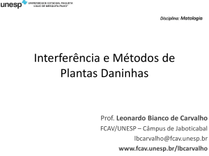 Interferência e Métodos de Plantas Daninhas