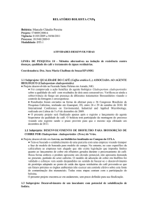 Relatório final bolsa CNPq (Marçal Pedro Neto) 2010