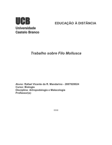 Filo Mollusca - Universidade Castelo Branco