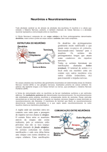 Neurônios e Neurotransmissores