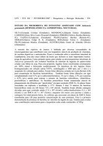 UFV / XVI SIC / FEVEREIRO-2007 / Bioquímica e Biologia Molecular