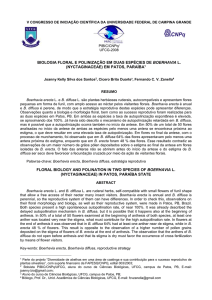 Biologia Floral e polinizaÇÃo em duas