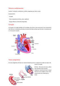 Sistema cardiovascular Função: Transportar substâncias e células