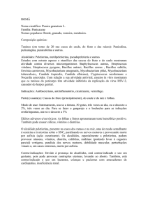 ROMÂ Nome científico: Punica granatum L. Família: Punicaceae