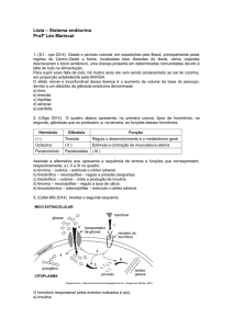 Lista – Sistema endócrino Profº Léo Mariscal 1. (G1