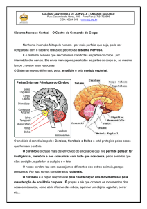 Sistema Nervoso Central – O Centro de Comando do Corpo