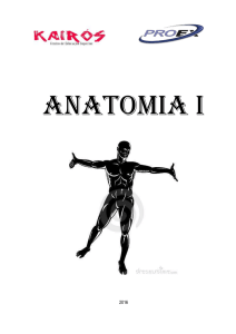 ANATOMIA I 2016 RESUMO A Anatomia é uma palavra grega que