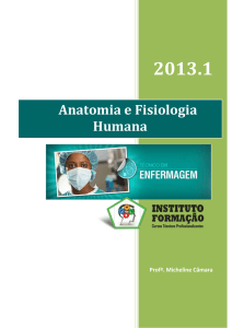 1 APRESENTA&Ccedil;&Atilde;O Na Gr&eacute;cia, Hip&oacute;crates, conhecido como o pai