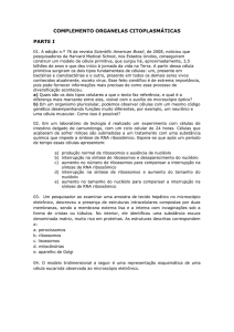 COMPLEMENTO ORGANELAS CITOPLASMÁTICAS PARTE I 01. A