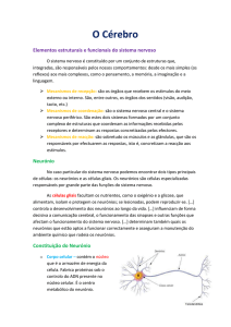 O Cérebro Elementos estruturais e funcionais do sistema nervoso O